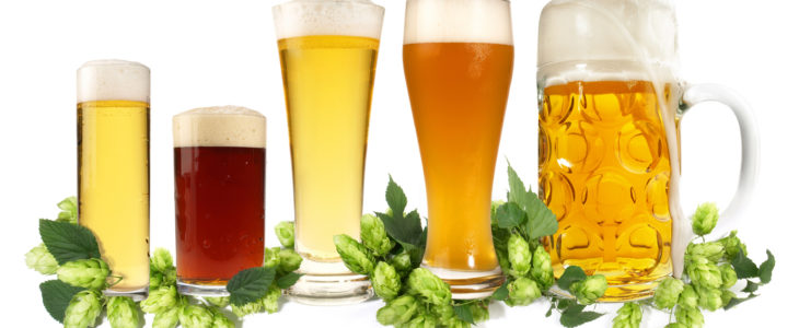 Wheat Free Beer"