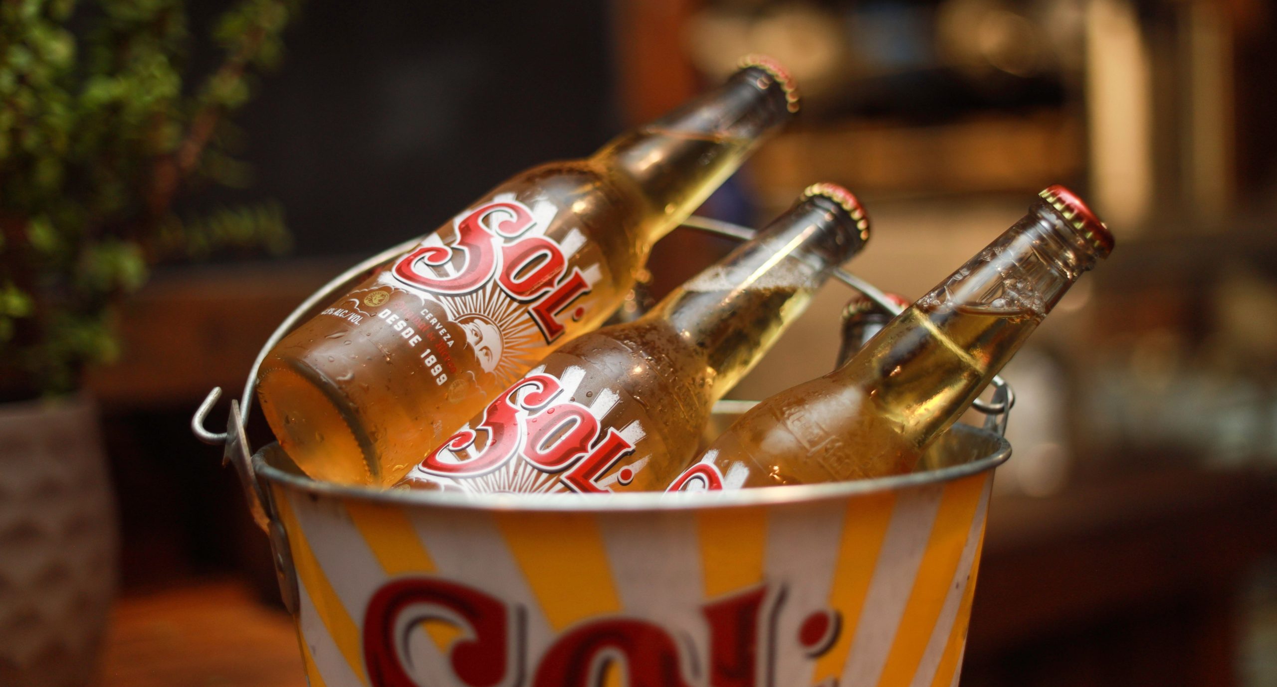 Sol Beer