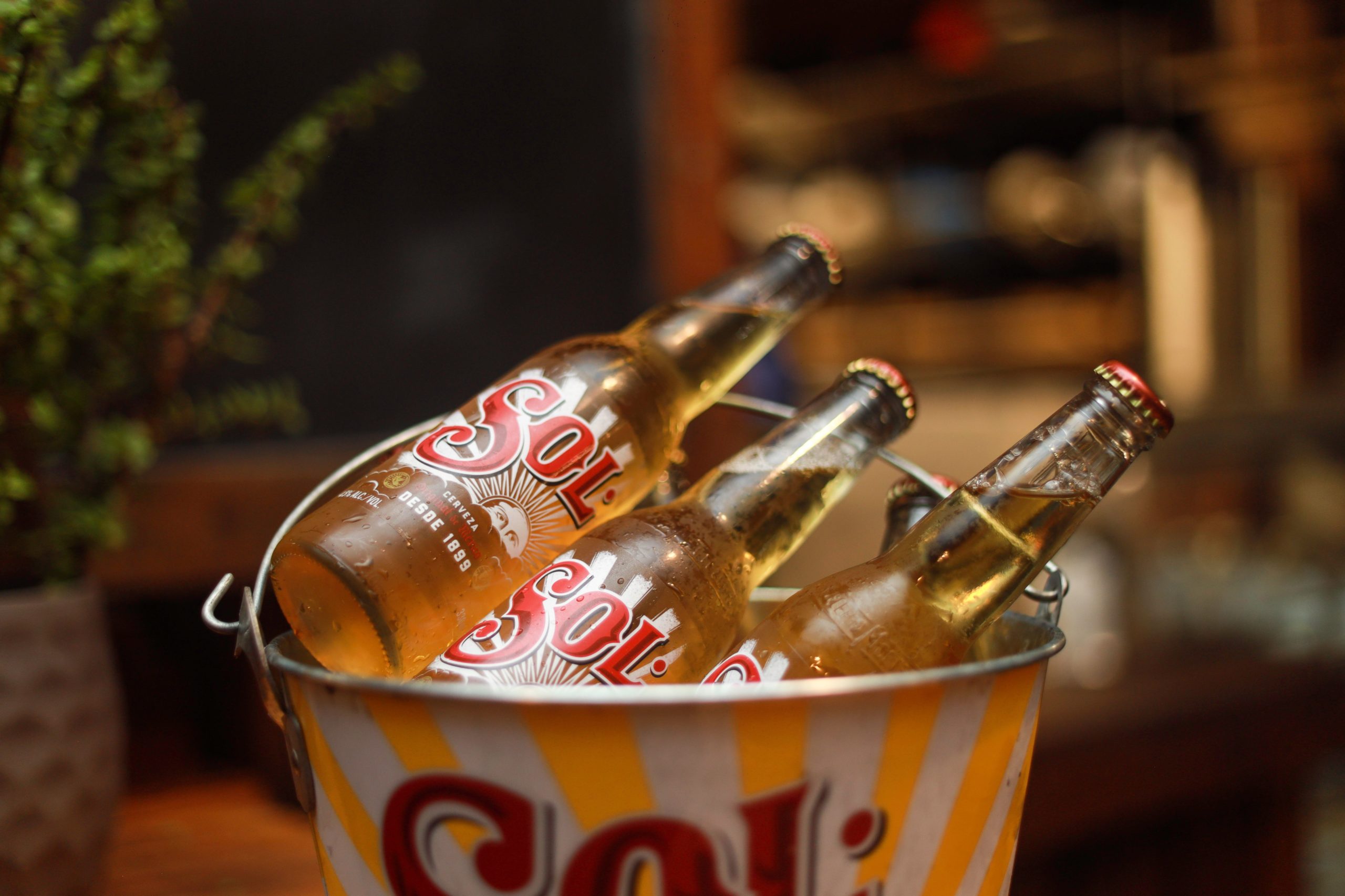 Sol Beer